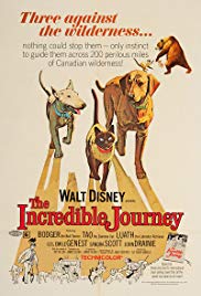 The Incredible Journey (1963) M4ufree