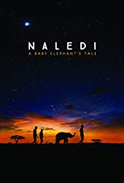 Naledi: A Baby Elephants Tale (2016) M4ufree