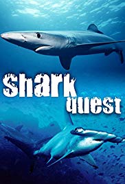 Shark Quest (2003) M4ufree