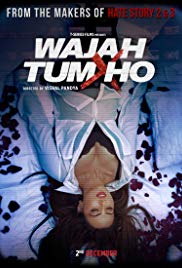 Wajah Tum Ho (2016) M4ufree