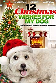 12 Wishes of Christmas (2011)