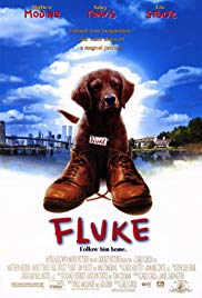 Fluke (1995) M4ufree