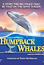 Humpback Whales (2015) M4ufree