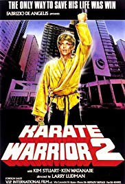 Karate Warrior 2 (1988) M4ufree
