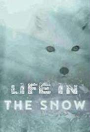 Life in the Snow (2016) M4ufree