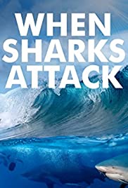 When Sharks Attack (20132020) StreamM4u M4ufree