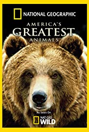 Americas Greatest Animals (2012) M4ufree