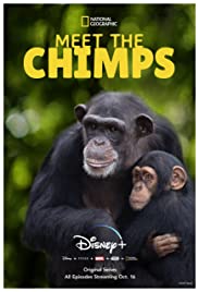 Meet the Chimps (2020 ) StreamM4u M4ufree