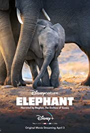 Elephant (2020) M4ufree
