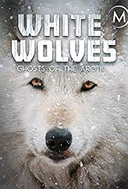 White Wolves: Ghosts of the Arctic (2017) M4ufree