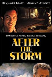 After the Storm (2001) M4ufree