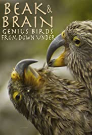 Beak & Brain  Genius Birds from Down Under (2013) M4ufree