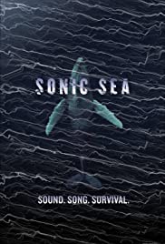 Sonic Sea (2016) M4ufree