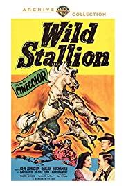 Wild Stallion (1952) M4ufree