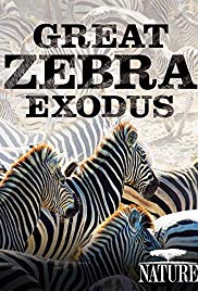 Great Zebra Exodus (2013) M4ufree