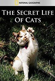 The Secret Life of Cats (2014) M4ufree