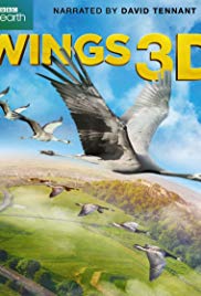 Wings (2014) M4ufree