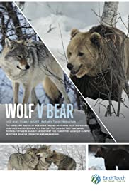 Wolf vs Bear (2018) M4ufree
