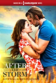 After the Storm (2019) M4ufree