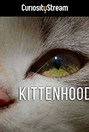 Kittenhood (2015) M4ufree