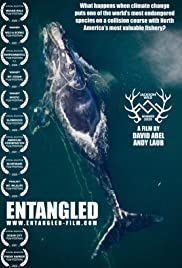Entangled: The Race to Save Right Whales from Extinction (2020) M4ufree