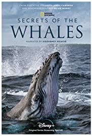 Secrets of the Whales (2021) StreamM4u M4ufree