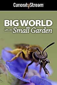 Big World in a Small Garden (2016) M4ufree