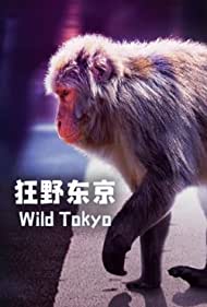 Wild Tokyo (2020) M4ufree