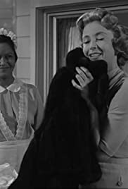 Mrs. Bixby and the Colonels Coat (1960) M4ufree