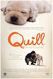 Quill: The Life of a Guide Dog (2004) M4ufree