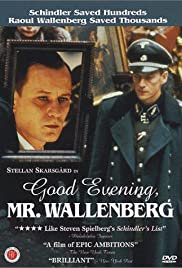 Good Evening, Mr. Wallenberg (1990) M4ufree