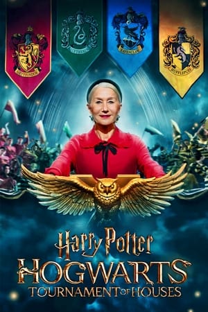 Harry Potter Hogwarts Tournament of Houses (2022) StreamM4u M4ufree