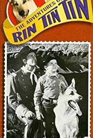 The Adventures of Rin Tin Tin (19541959) StreamM4u M4ufree