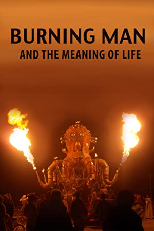 Burning Man and the Meaning of Life (2013) M4ufree