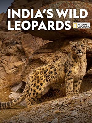 Indias Wild Leopards (2020) M4ufree