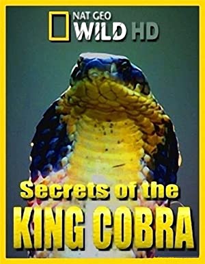 Secrets of the King Cobra (2010) M4ufree