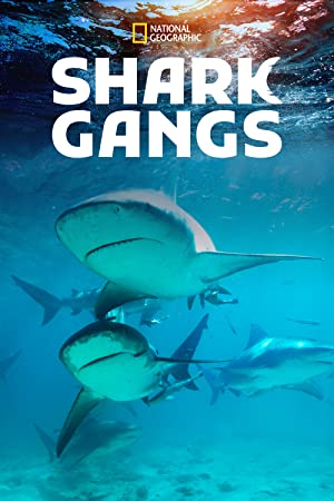 Shark Gangs (2021) M4ufree