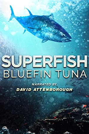 Superfish Bluefin Tuna (2012) M4ufree