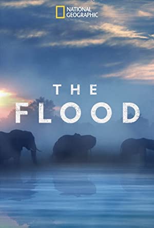 The Flood (2018) StreamM4u M4ufree