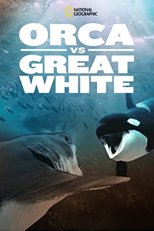 Orca vs. Great White (2021) M4ufree