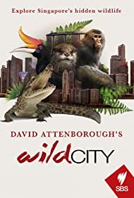 David Attenboroughs Wild City (2016) StreamM4u M4ufree
