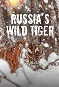 Russias Wild Tiger (2022) M4ufree