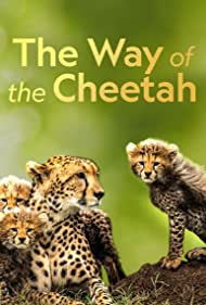 The Way of the Cheetah (2022) M4ufree