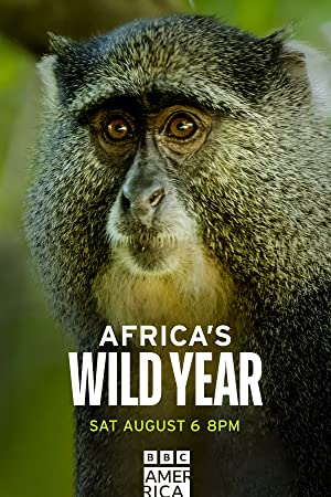 Africas wild year (2021) StreamM4u M4ufree