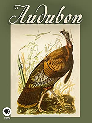 Audubon (2017) M4ufree