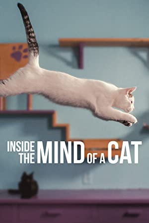 Inside the Mind of a Cat (2022) M4ufree