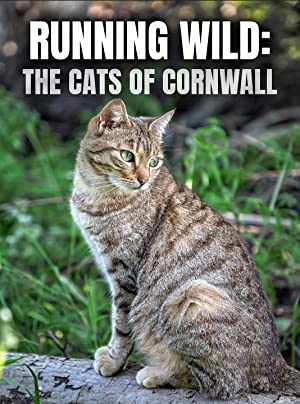 Running Wild The Cats of Cornwall (2020) M4ufree