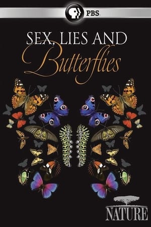 Sex, Lies and Butterflies (2018) M4ufree