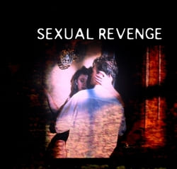 Sexual Revenge (2004) M4ufree