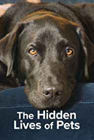 The Hidden Lives of Pets (2022) StreamM4u M4ufree